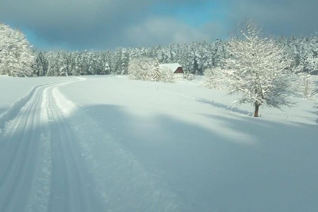 Ferienwohnung Im Schwarzwald Unterkirnach Buitenkant foto